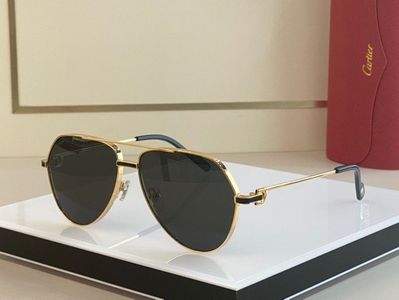 Cartier Sunglasses 746